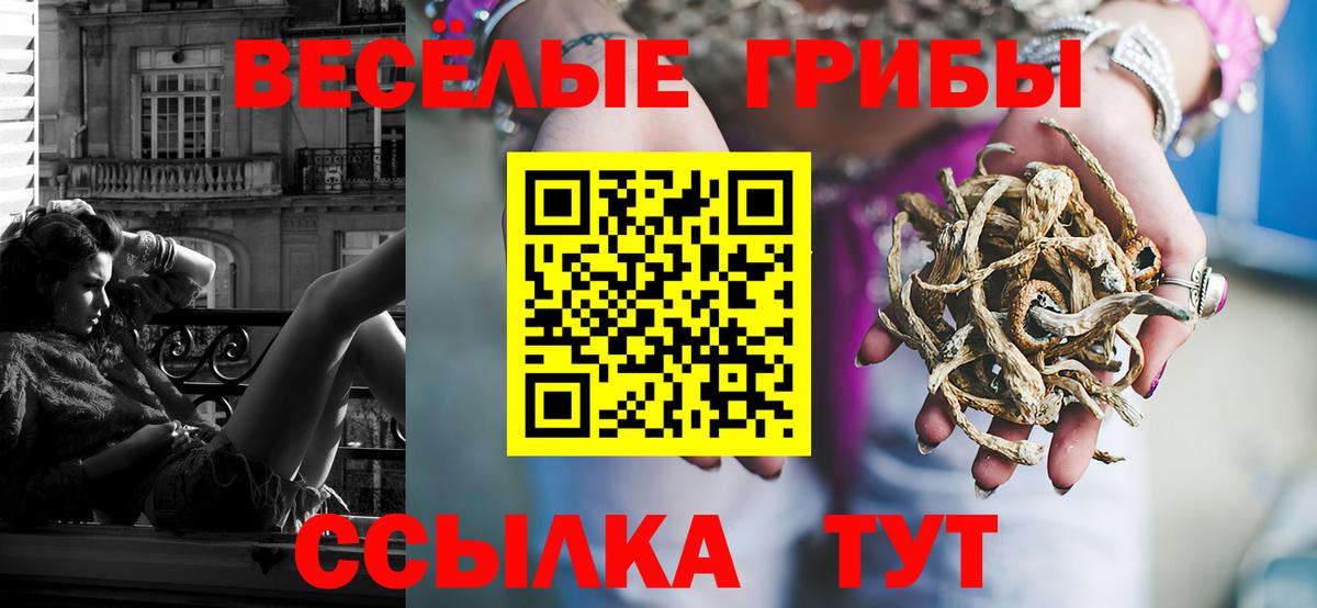 Галлюциногенные грибы GOLDEN TEACHER Железногорск