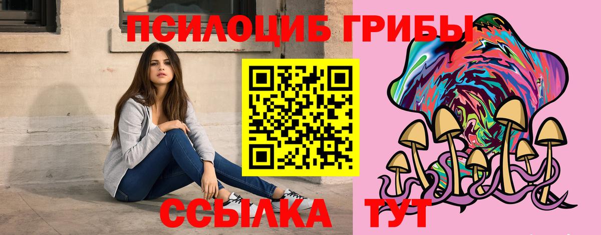 Железногорск  цены   Псилоцибиновые грибы MAGIC MUSHROOMS  Вход с VPN  Псилоцибиновые грибы мухоморы 